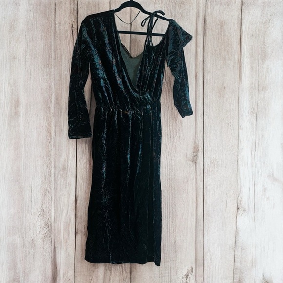 Zara Dresses & Skirts - Zara trafaluc velvet floral dress one shoulder - medium (C8)